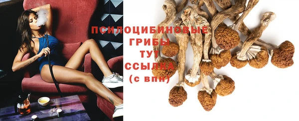 первитин Лихославль